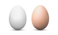 Chicken eggs white and brown mockups isolated